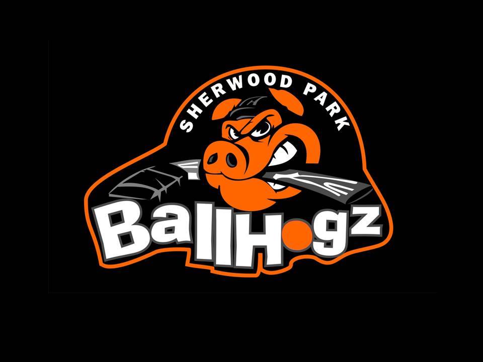 Alberta Minor Ball Hockey Association site by RAMP InterActive